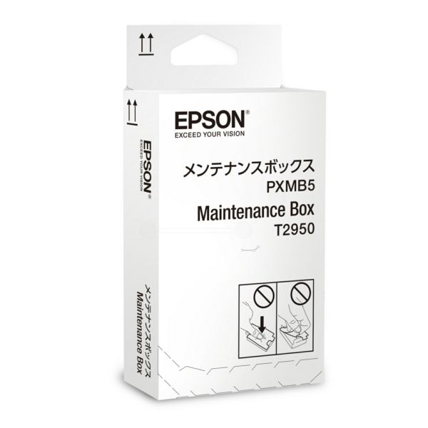 Epson WorkForce WF-100W (C13T295000) original Maintenance Box
