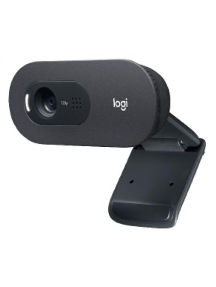 Web kamera LOGITECH C505e (960-001372)
