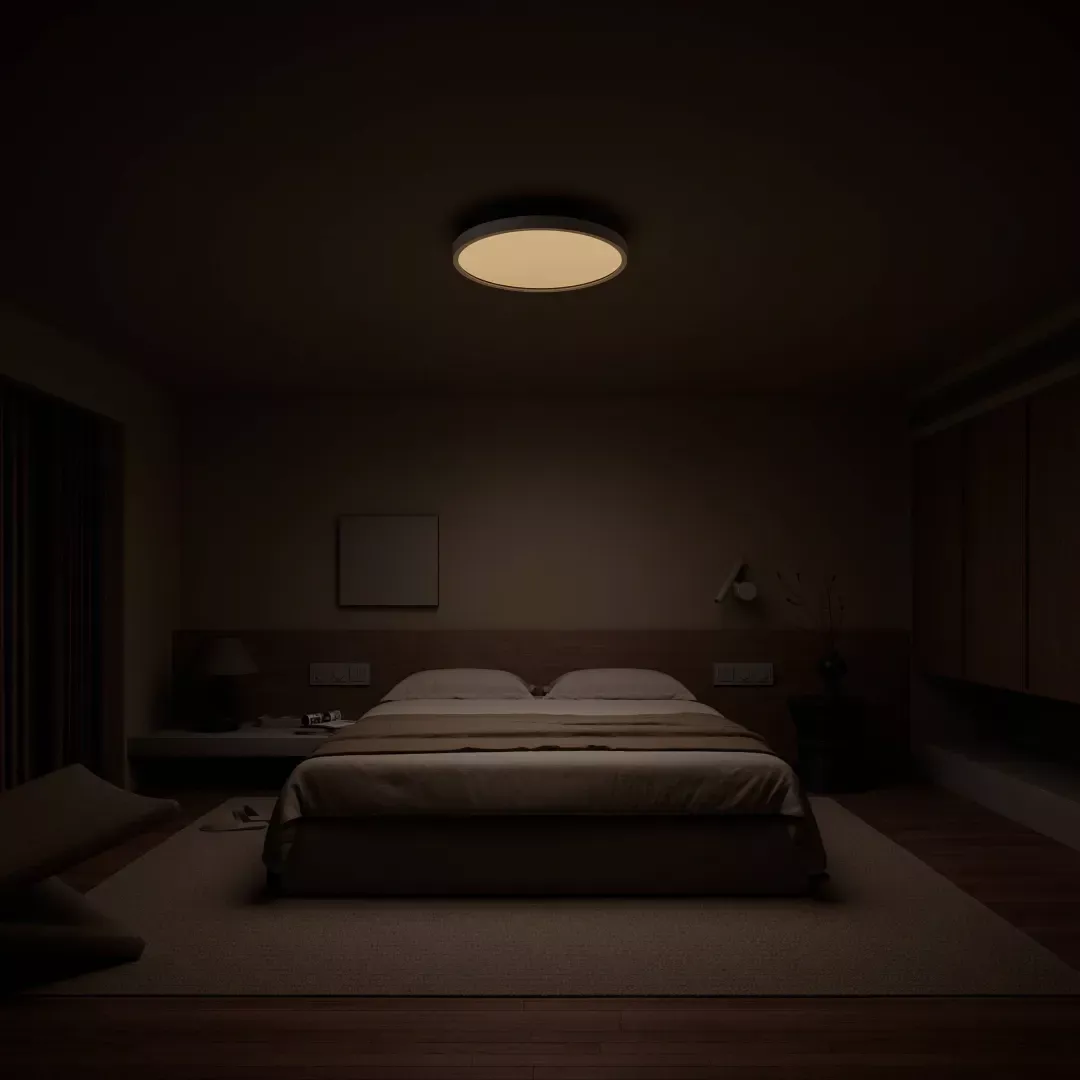 Stropna svjetiljka XIAOMI Smart Ceiling Light D30, bijela