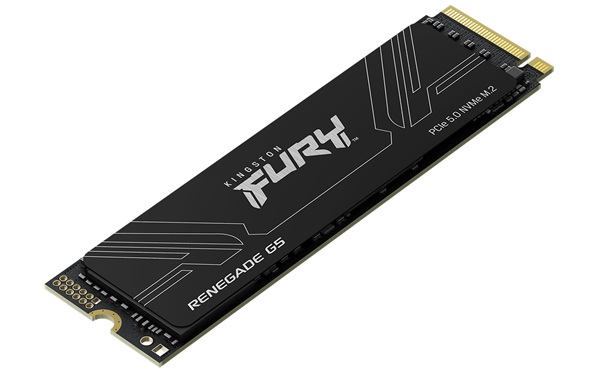 Kingston 1024GB FURY Renegade G5 PCIe 5.0 M.2 NVMe SSD