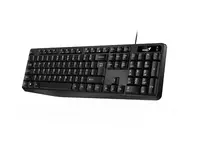 TIPKOVNICA GENIUS KB-117 BLACK USB