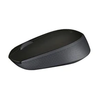 Miš LOGITECH M171, bežični, crni (910-004424)