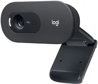 Web kamera LOGITECH C505 HD, crna (960-001364)