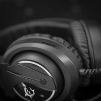 Slušalice + mikrofon WHITE SHARK GH-2044 WOLF