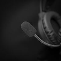 Slušalice + mikrofon WHITE SHARK GH-2044 WOLF