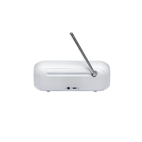 Bluetooth zvučnik/radio JBL Tuner 2, bijeli (JBLTUNER2WHT)
