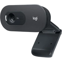Web kamera LOGITECH C505e (960-001372)