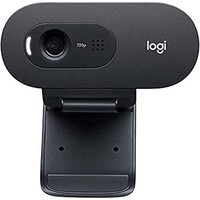 Web kamera LOGITECH C505e (960-001372)