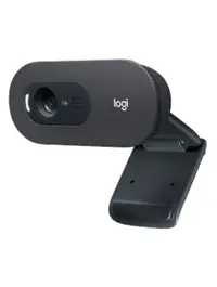 Web kamera LOGITECH C505e (960-001372)