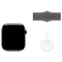 Pametni sat APPLE Watch S10 4G 42mm Natural Titanium, Grey Rubber Strap M/L (MWXE3QF/A)