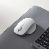 Miš XIAOMI Wireless Mouse Comfort Edition, bijeli