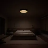Stropna svjetiljka XIAOMI Smart Ceiling Light D40, bijela