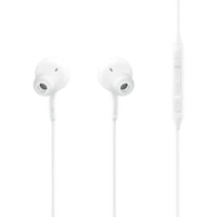 Slušalice SAMSUNG USB-C Earphones EO-IC100, bijele (EO-IC100BWEGEU)