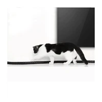 Omotač za kabele UGREEN, 25mm, 1.5m, vrećica