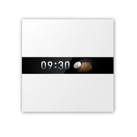 Pametni ekran AQARA V1 (WS-K02D)