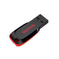 USB stick 32 GB, SANDISK Cruzer Blade, USB 2.0 (SDCZ50-032G-B35)