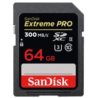 Memorijska kartica 64 GB, SANDISK Extreme PRO, SDXC UHS-II, C10, U3, V90, do 300 MB/s (SDSDXDK-064G-GN4IN)