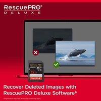 Memorijska kartica 32 GB, SANDISK Extreme, SDHC UHS-I, C10, U3, V30, do 100/60 MB/s + 1 god. RescuePRO Deluxe (SDSDXVT-032G-GNCI2)