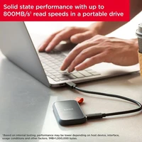 Eksterni SSD disk 1 TB, SANDISK Portable, USB-C, USB 3.2 Gen 2, 800 MB/s (SDSSDE30-1T00-G26)