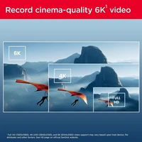 Memorijska kartica 256 GB, SANDISK Extreme PRO, SD UHS-II, C10, V60, 280/150 MB/s (SDSDXEP-256G-GN4IN)