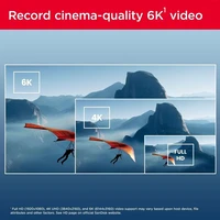 Memorijska kartica 64 GB, SANDISK Extreme PRO, SD UHS-II, C10, V60, 280/100 MB/s (SDSDXEP-064G-GN4IN)