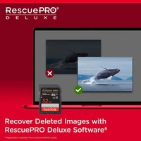 Memorijska kartica 32 GB, SANDISK Extreme PRO, SDHC UHS-I, C10, U3, V30, do 100/90 MB/s + 2 god. RescuePRO Deluxe (SDSDXXO-032G-GN4IN)