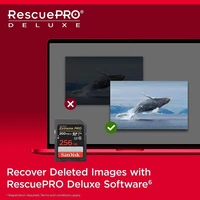 Memorijska kartica 256 GB, SANDISK Extreme PRO, SDXC UHS-I, C10, U3, V30, do 200/140 MB/s + 2 god. RescuePRO Deluxe (SDSDXXD-256G-GN4IN)