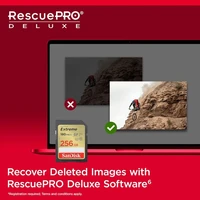 Memorijska kartica 256 GB, SANDISK Extreme PLUS, SDHC UHS-I, C10, U3, V30, 180/130 MB/s (SDSDXWV-256G-GNCIN)