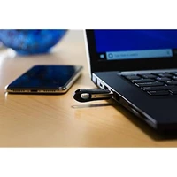 USB stick 256 GB, SANDISK iXpand Flash Drive Go, USB 3.0 + Lightning, za iPhone/iPad (SDIX60N-256G-GN6NE)