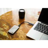 Eksterni SSD disk 1 TB, WD My Passport SSD, USB-C 3.2, sivi (WDBAGF0010BGY-WESN)