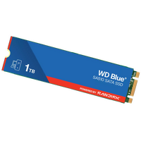 SSD disk 1 TB, WD Blue SA510, M.2, SATA III (WDS100T3B0B)