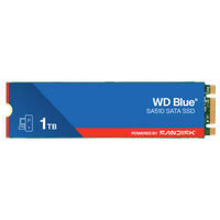 SSD disk 1 TB, WD Blue SA510, M.2, SATA III (WDS100T3B0B)