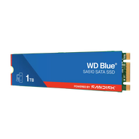 SSD disk 1 TB, WD Blue SA510, M.2, SATA III (WDS100T3B0B)