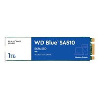 SSD disk 1 TB, WD Blue SA510, M.2, SATA III (WDS100T3B0B)