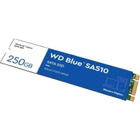 SSD disk 250 GB, WD Blue SA510, M.2 2280, SATA III (WDS250G3B0B)
