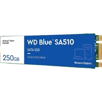 SSD disk 250 GB, WD Blue SA510, M.2 2280, SATA III (WDS250G3B0B)