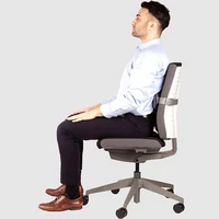 Naslon za leđa FELLOWES I-Spire Series Lumbar Back Support Naslon za leđa FELLOWES I-Spire Series Lumbar Back Support