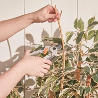 Set za obrezivanje VONHAUS