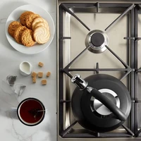 Aparat za čaj VONSHEF, nehrđajući čelik