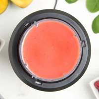 Mikser za smoothie VONSHEF UltraBlend