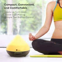 Difuzor za ulje TAOTRONICS TT-AD002, coffee