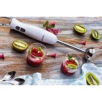 Blender MESKO MS4619