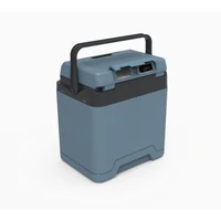 Termoelektrični hladnjak IGLOO IE24, DC 12V