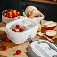 Posuda za ručak CAMRY, električna, DC12V & AC220-240V, CR4483