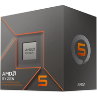 Procesor AMD Ryzen 5 8500G, AM5
