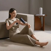 Masažni pištolj XIAOMI Massage Gun 2, EU