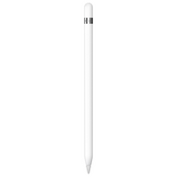 Stylus olovka APPLE Pencil with USB-C-Lightning Adapter (MQLY3)