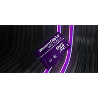 Memorijska kartica 1 TB, SANDISK WD Purple QD101 SC Ultra Endurance, Class 10, UHS-I (U1), microSDXC