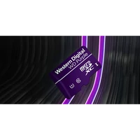 Memorijska kartica 1 TB, SANDISK WD Purple QD101 SC Ultra Endurance, Class 10, UHS-I (U1), microSDXC