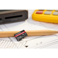 Memorijska kartica 256 GB, SANDISK Express NVMe, UHS-I, microSDXC